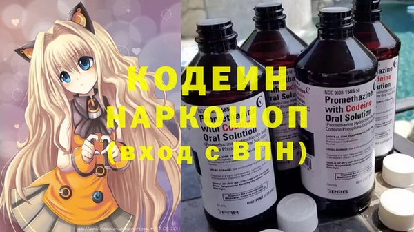 прущие грибы Наволоки